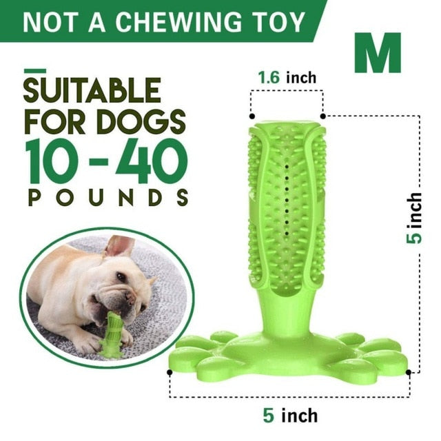 Pet Dog Toothbrush Chew Toy Brush